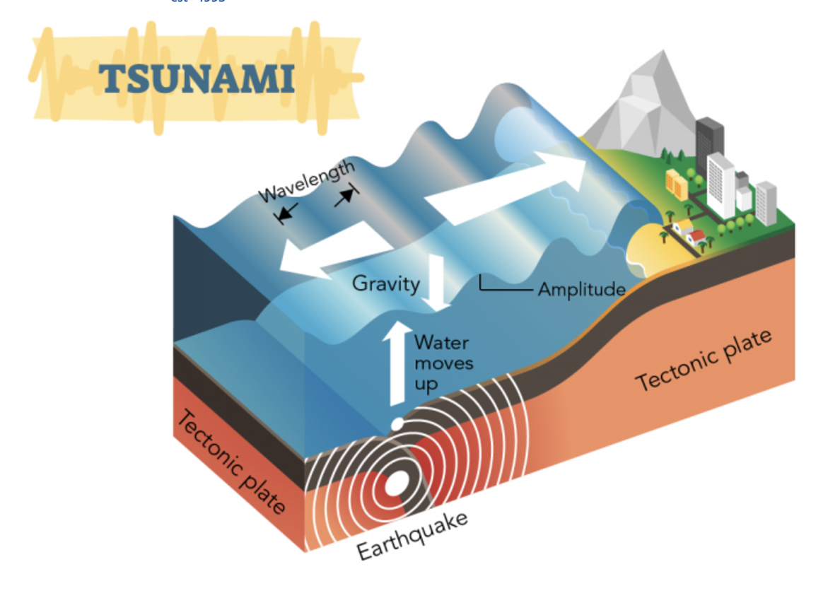 <p>A series of waves in the ocean caused by seismic activity or an undersea volcano </p>