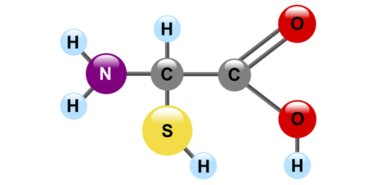 <p>Protein’s monomer</p>