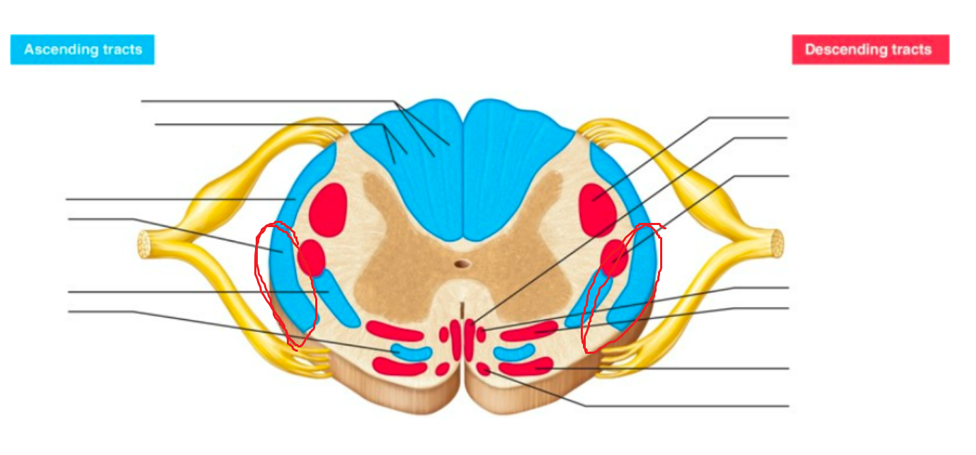 <p>what tract is this</p>