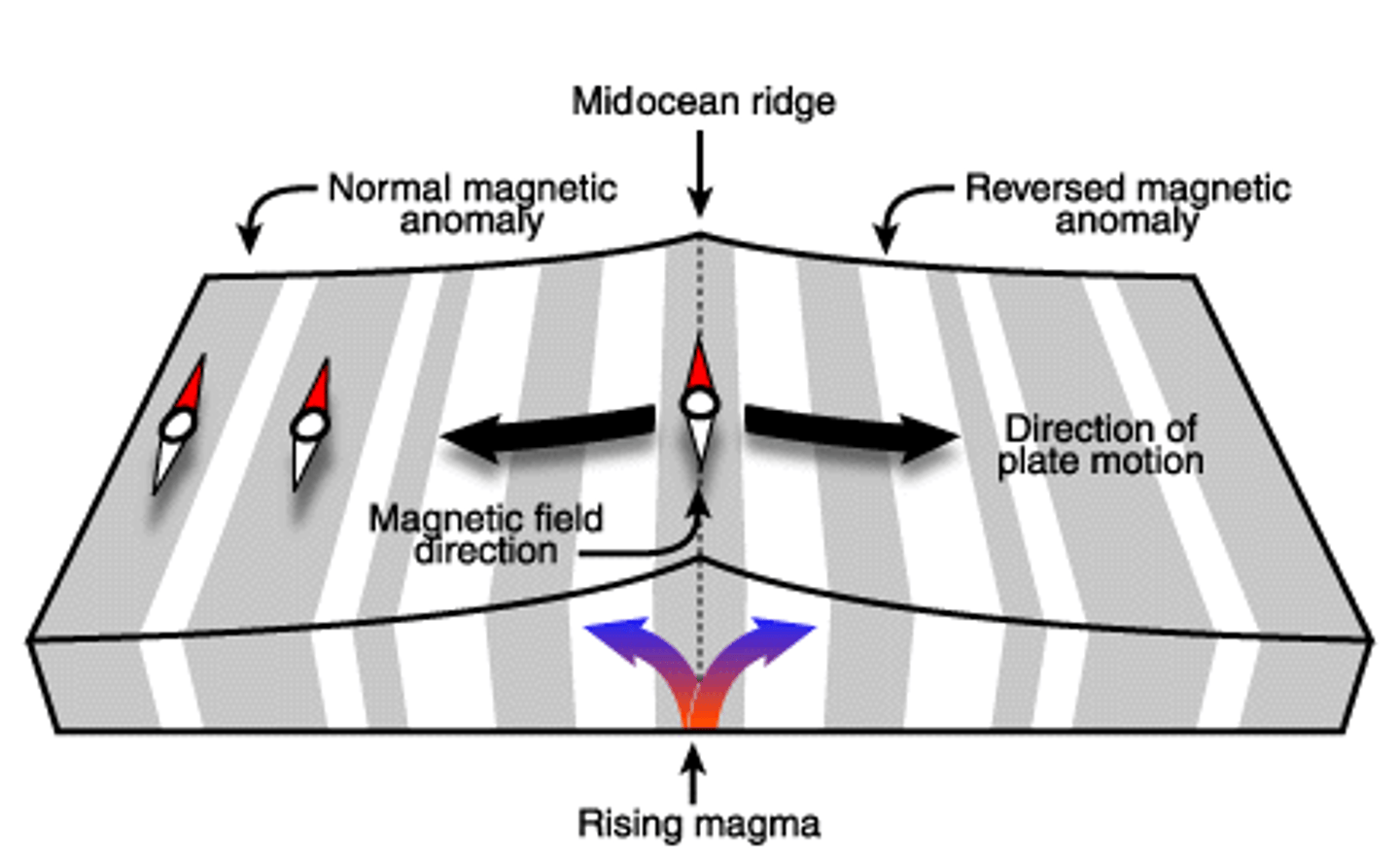 <p>The pattern of alternating normal and reversed magnetic polarities found in the seafloor on either side of the spreading center.</p>