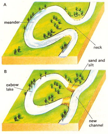 A meander cut off from a river.