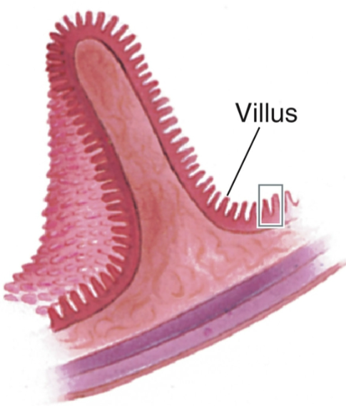 <p>3-fold</p>