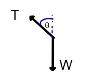 <p>Resultnat force towards the centre of the circule = horizontal component of tension = Tsinθ. </p>
