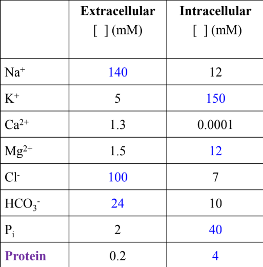 <ul><li><p>Na⁺, HCO₃⁻, Cl⁻. </p></li></ul><p></p>