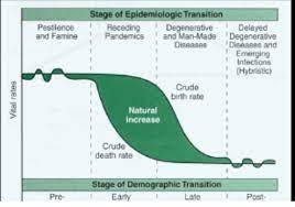 <p>Who created the Epidemiological transition model? what re the stages?</p>