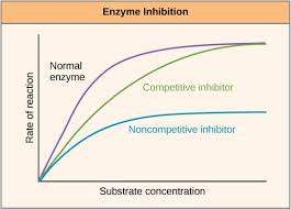 <p>Substances that directly or indirectly interfere with the functioning of the active site of an enzyme and so reduces its activity.</p>