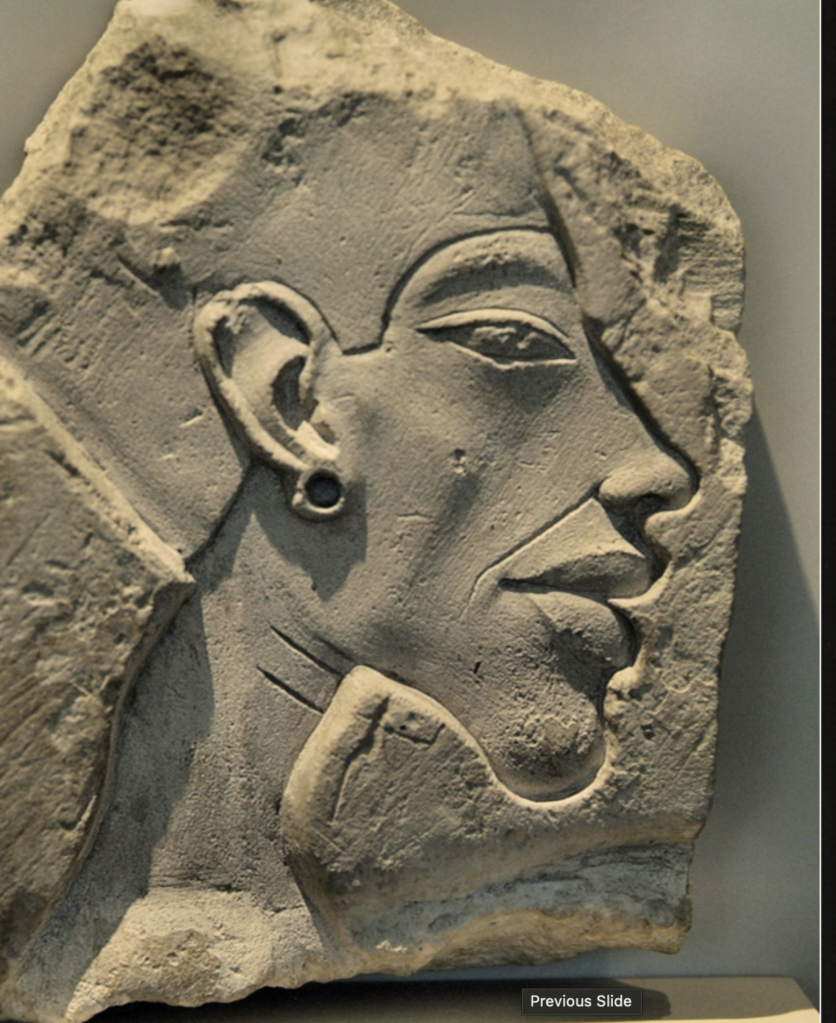 <p>study of akhenaten</p>