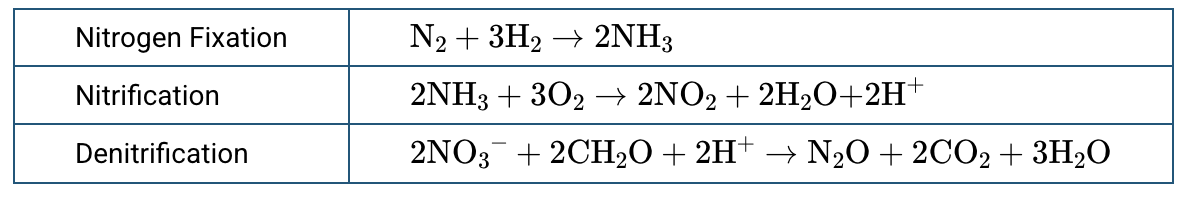 <p>The table above shows the balanced chemical equations that represent three processes that are part of the nitrogen cycle. Which of the following is exemplified by the equations above?</p><p><strong>A</strong></p><p class="choice_paragraph">Approximately of energy is transferred from one trophic level to the next.</p><p><strong>B</strong></p><p class="choice_paragraph">In a food web, energy flows and matter is cycled.</p><p><strong>C</strong></p><p class="choice_paragraph">Each biogeochemical cycle demonstrates the conservation of matter.</p><p><strong>D</strong></p><p class="choice_paragraph">The major reserve for nitrogen is in the atmosphere.</p>