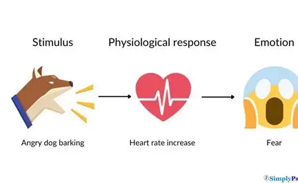<p>Arousal/Stimulus—→ heart rate increase——> fear</p>