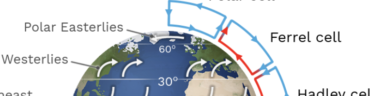 <p>A large-scale atmospheric circulation pattern located between the Hadley and Polar Cells, characterized by rising air around 60 degrees latitude and sinking air around 30 degrees latitude, influencing mid-latitude weather patterns. </p>