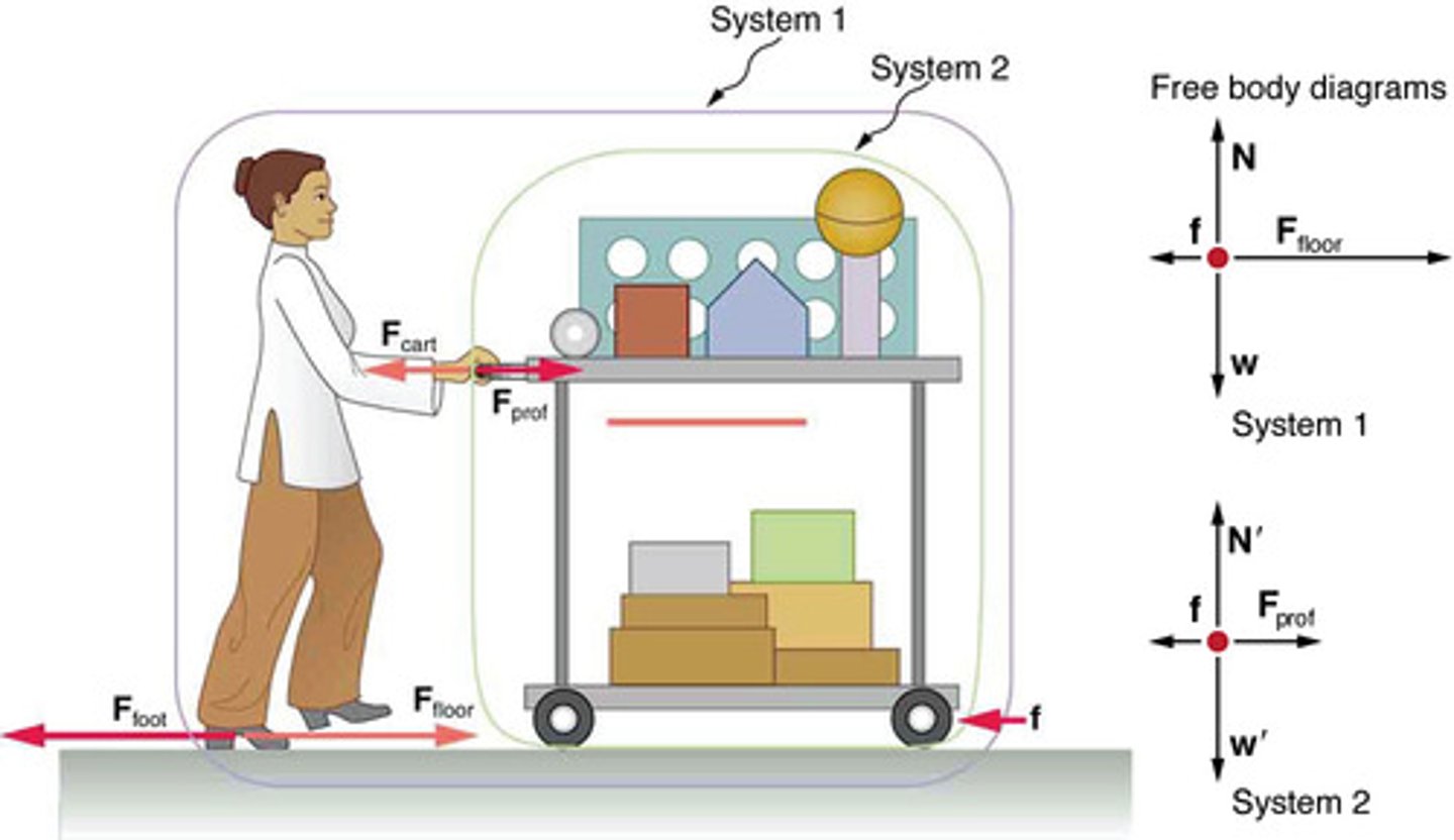 <p>A graphical representation used to visualize the forces acting on a single object or system.</p>
