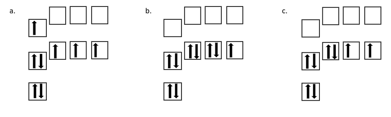 <p><span>Which of the following orbital diagrams shows an excited state electron configuration?</span></p>