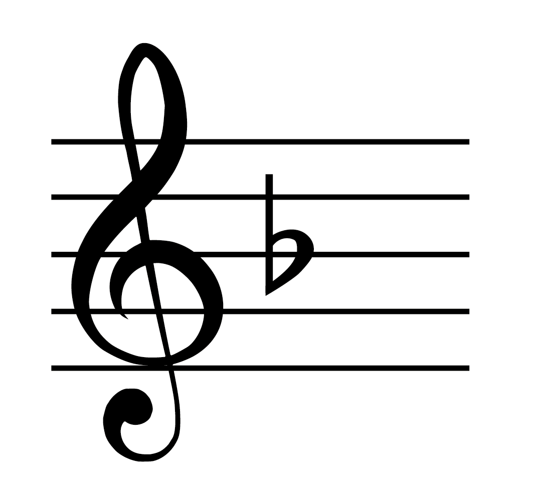 <p>Key with one flat</p>