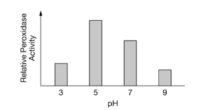 The enzyme peroxidase is found in many organisms. It catalyzes the breakdown of hydrogen peroxide into water and oxygen gas. The rate of peroxidase activity at different pH values was assessed by students in the lab. The students’ results are shown in graph 1.

If the experiment is repeated at pH 11, the observed activity level of the enzyme will most likely be