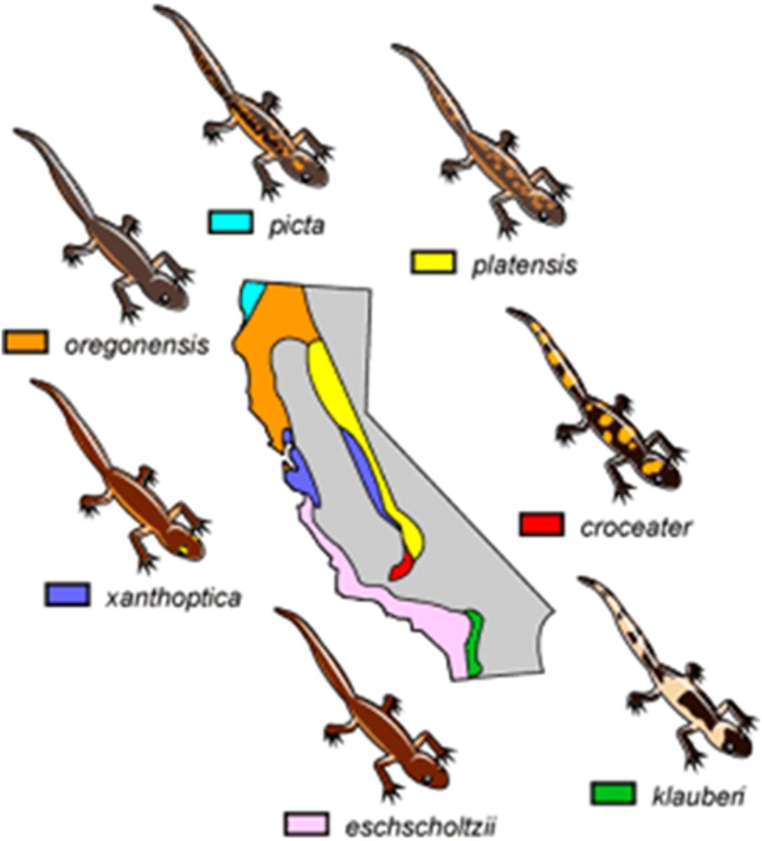 <p>Difference in variation between population subgroups in different areas.</p>