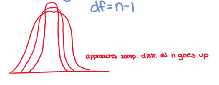 <ol><li><p>it is bell shaped and symmetric about the <strong>mean</strong></p></li><li><p>it is a family of curves, each determined by a parameter called <strong>degrees of freedom <u>(df=n-1)</u></strong></p></li><li><p>Total area under the t-curve is equal to 1</p></li><li><p>the mean, median, and mode are equal to 0</p><ol><li><p>As the degrees of freedome increase, the t-distribution <strong>approaches the z-distribution</strong></p></li></ol></li></ol><p></p>