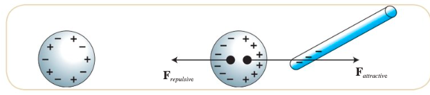 <p>A positive plastic rod is bought near to a <strong>neutral </strong>conducting sphere. The negative charges of the rod will the attracted to the positive charges in the sphere, while the negative charges inside the sphere will be repelled. Since the positive is near</p><p>—&gt;the attractive force is greater than the repulsive force</p>
