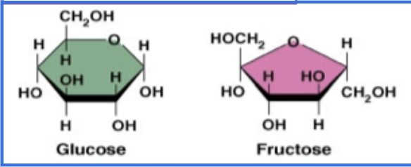 <p>these are examples of?</p>