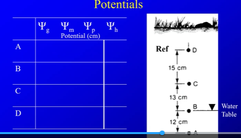 <p>calculate the all the values, and what does all the h values mean? Why is this not realistic? water potential under non-equillibrium? Can you have pressure if you have matric? where does h values go?</p>