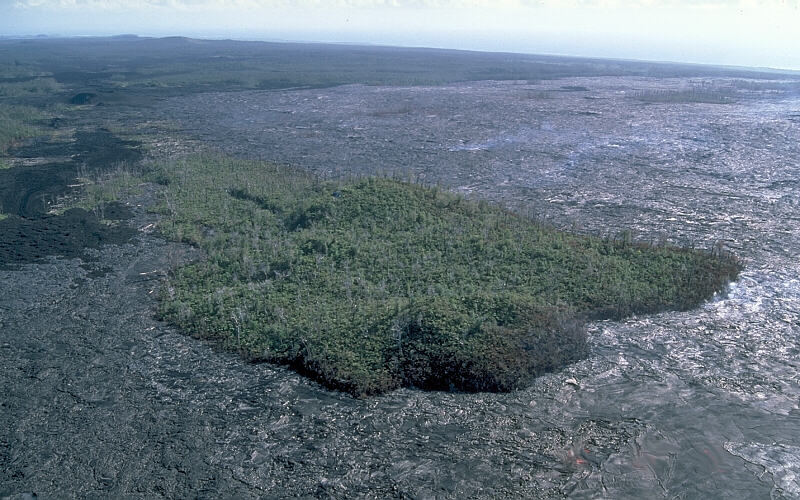 <p>a small piece of land completely surrounded by lava flows</p>