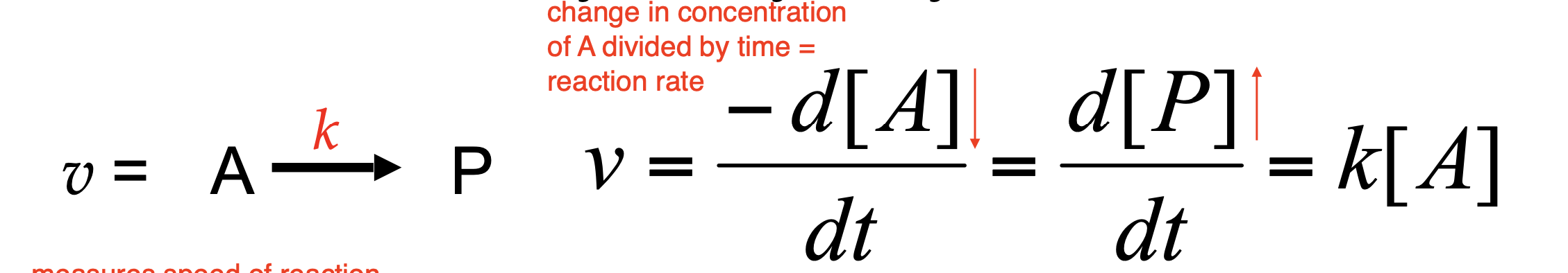 <p>rates of reactions catalyzed by enzymes; velocity <em>v</em>; speed of the reaction</p><ul><li><p>Disappearance of substrate, A</p></li><li><p>Appearance of product, P</p></li></ul><p>velocity; concentration of reactants and products</p><p></p>