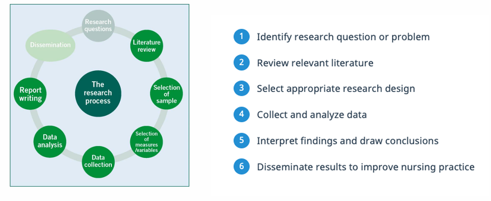 <ol><li><p>identify research problem</p></li><li><p>review relevant literature</p></li><li><p>select appropriate research design</p></li><li><p>collect/analyze data</p></li><li><p>interpret findings/draw conclusions</p></li><li><p>disseminate results to improve nursing practice</p></li></ol><p></p>
