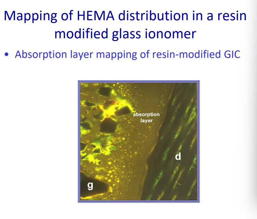 <p>Absorption layer mapping of resin-modified GIC</p><p>nb - their colour stability is less ideal - once swollen they may stain easier&nbsp;</p>