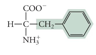 <p>Phe, F, Non-polar</p>