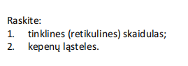 <p>tinklinės/retikulinės skaidulos (kepenų)</p>