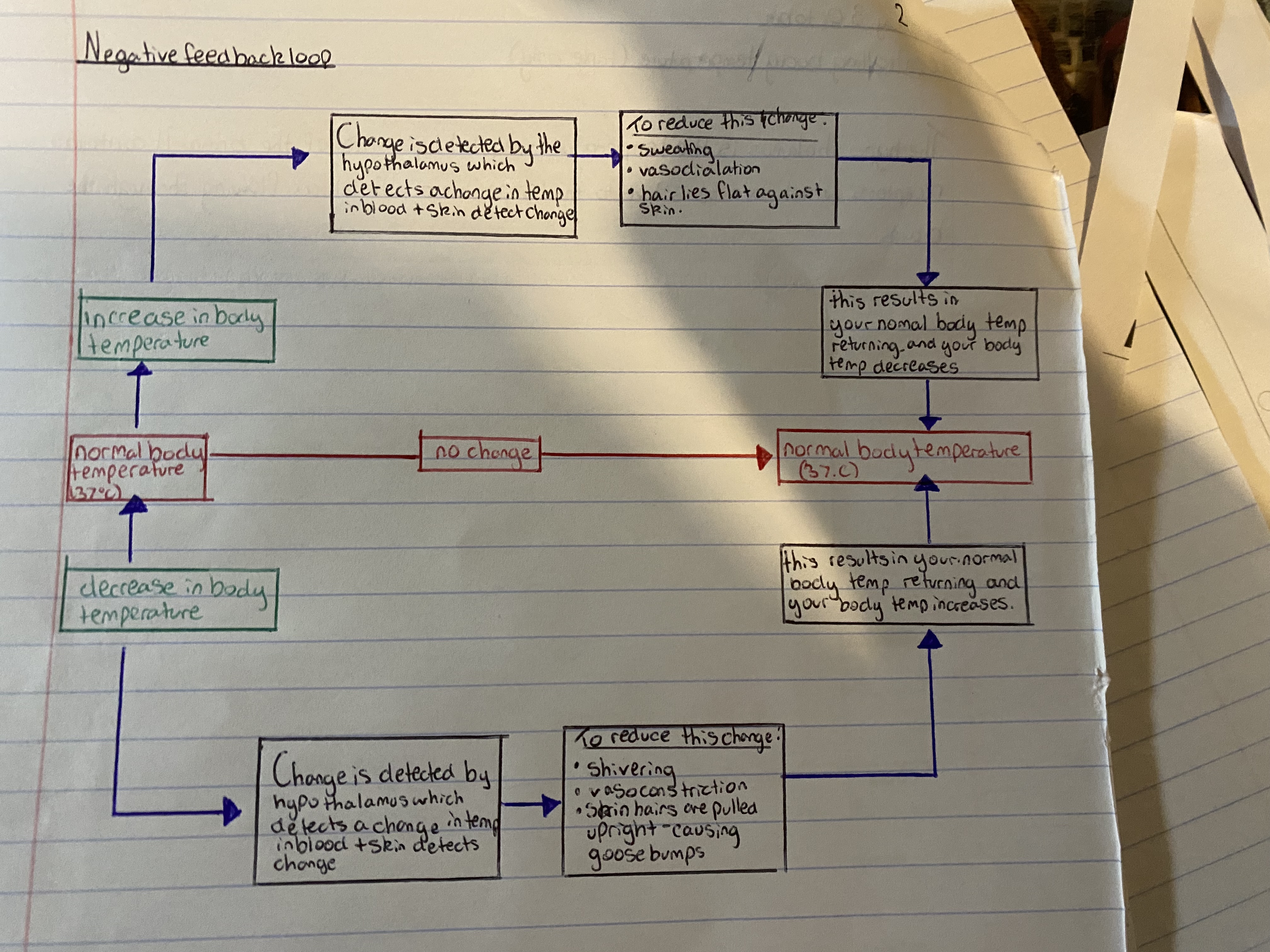 knowt flashcard image