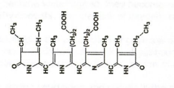 <p>The structure shown at right is: </p>