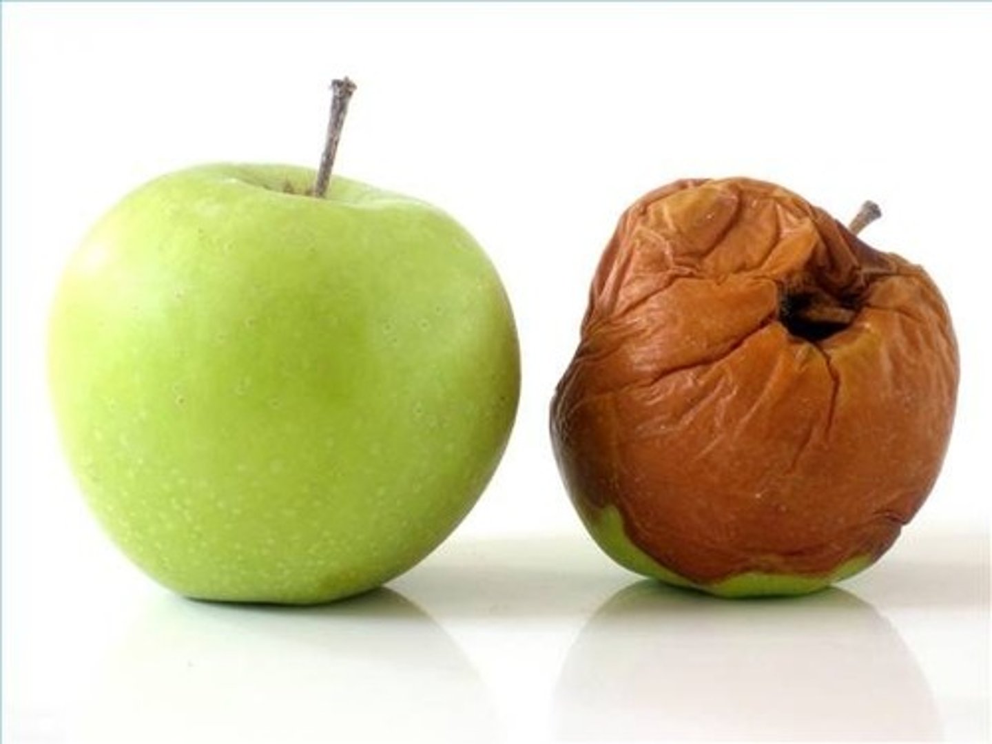 <p>The breaking down of matter into simpler molecules. Typically performed by bacteria.</p>