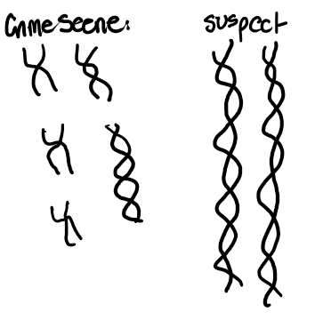 <p>Copy the DNA with a PCR machine</p>