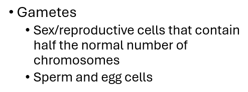 <p>Chromosome number: contain one copy of each chromosome</p>