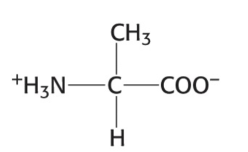<p>Which amino acid is this</p>