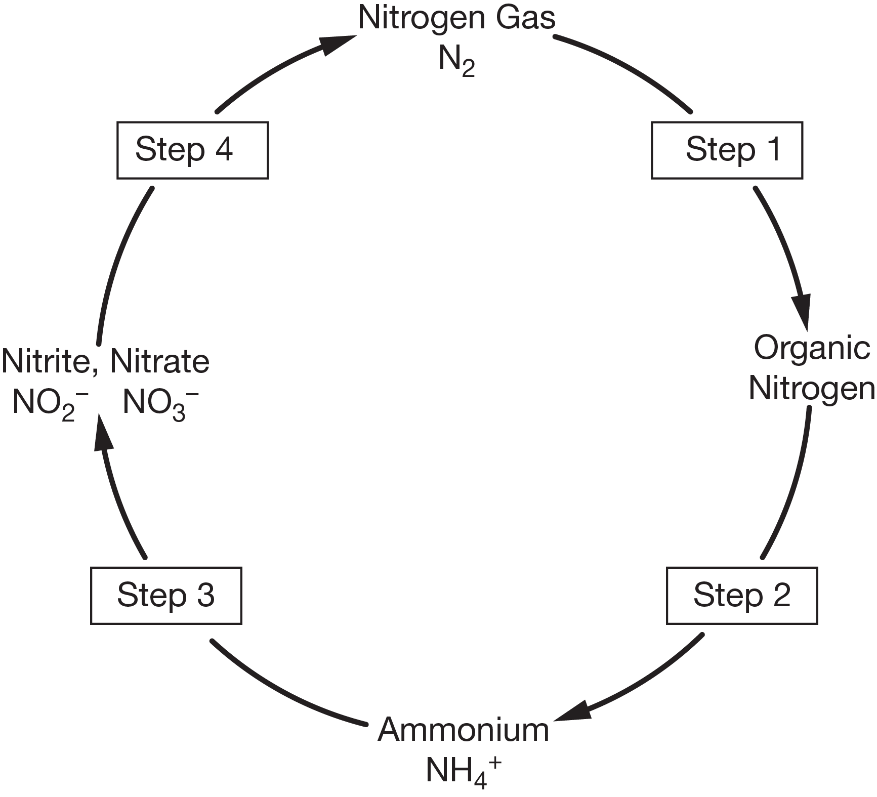 <p>What is step 3?</p>