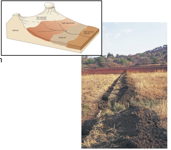 <p>what is a <strong>soil catena?</strong></p>