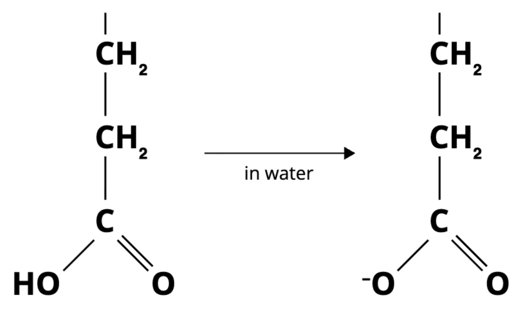 <p>the diagram below shows part of a molecule that is found in proteins. when placed in water, the molecule "ionizes" to form the structure on the right:</p>