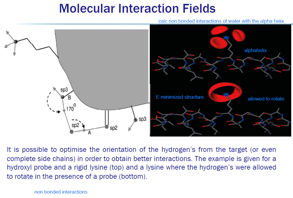 <p>In the <strong>top panel</strong>:</p><ul><li><p>Lysine side chain is rigid</p></li><li><p>Hydrogen positions are fixed</p></li><li><p>Probe orientation is fixed</p></li></ul><p>So only <strong>three discrete geometries</strong> satisfy:</p><ul><li><p>correct distance</p></li><li><p>correct angle</p></li><li><p>no steric clash</p></li></ul><p>Hence → <strong>three isolated lobes</strong>.</p><p>When hydrogens are allowed to rotate:</p><ul><li><p>Lysine can <strong>reorient its H donors</strong></p></li><li><p>The system can <strong>relax energetically</strong></p></li><li><p>More geometries become viable</p></li></ul><p>Result:</p><ul><li><p>lobes merge or expand</p></li><li><p>interaction field becomes smoother and stronger</p></li></ul><p>This is why the bottom panel looks “richer”.</p>
