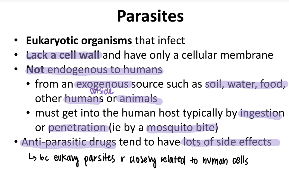 <p>they are EXOGENOUS = must come from OUTSIDE the body </p><ul><li><p>ingestion (soil, water, food) </p></li><li><p>penetration (MOSQUITO) </p></li></ul>