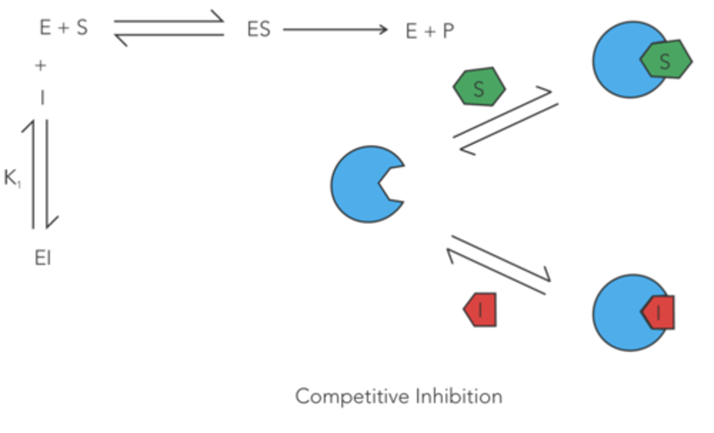 <p>reversible competitive</p>