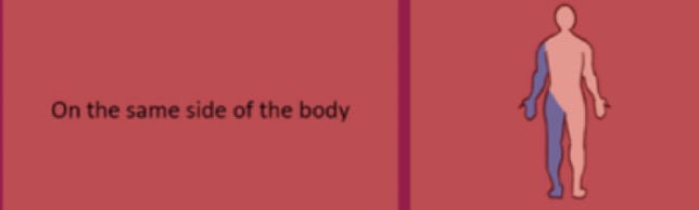 <p>refers to structures located on the same side of the body. </p>