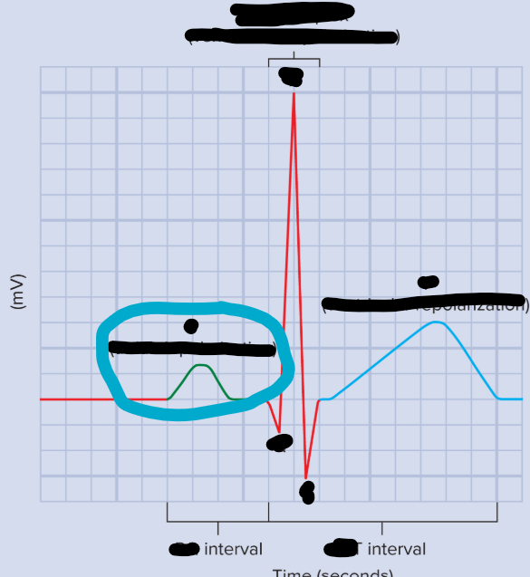 <p>What is this? What does it represent? <em>Green spike circled in blue</em></p>