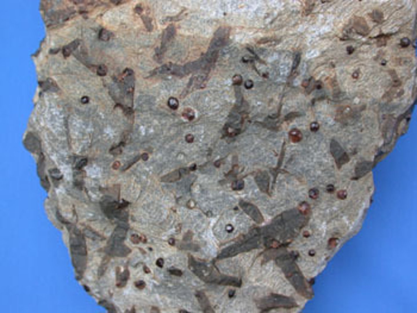 <p>Metamorphic Rock<br>Color:<br>Streak:<br>Luster:<br>Cleavage:<br>Hardness:<br>Specific Gravity:</p>