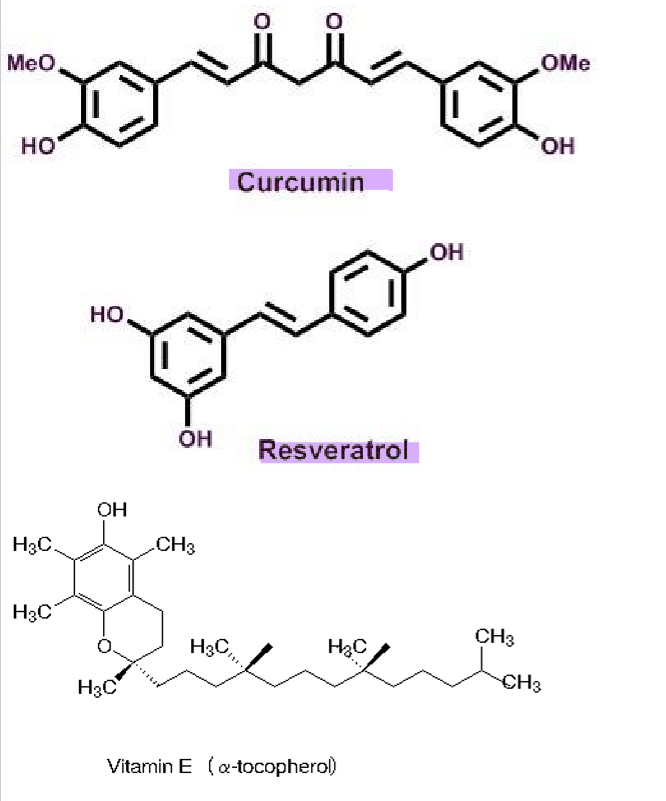 <ul><li><p>contain phenolic rings → which interact/quench reactive oxygen species&nbsp;</p></li><li><p>can chelate metal ions (iron, zinc and copper) which can promote reactive oxygen species&nbsp;</p></li></ul><p></p>