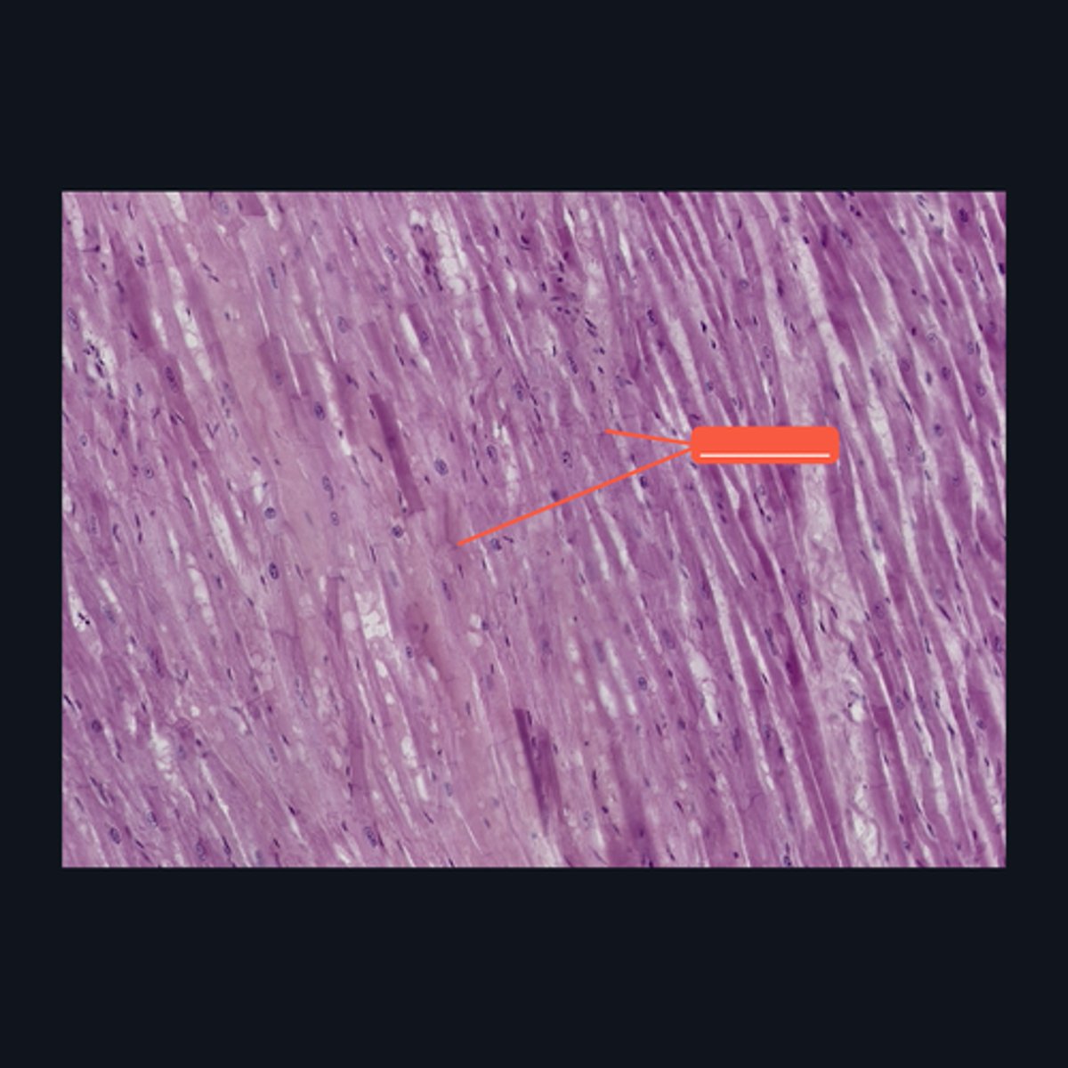 <p>Identify the structure</p>