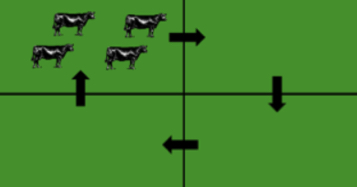 <p>What grazing system is this ?</p>