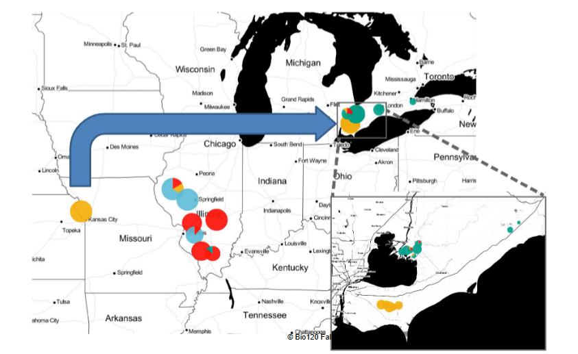 <p>-looked at genetic composition in waterhemp populations</p><p>-resistance evolves through: pre-existing variation, long-distance dispersal and new mutation</p>