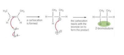 <ol><li><p>Br is more elctronegative than H so HBr is polar and has a dipole</p></li><li><p>The electron pair in the pi-bond are attracted to the partially positive H atom, causing the C=C bond to break</p></li><li><p>A bond forms between the H atom of HBr and a C atom from the C=C bond</p></li><li><p>The H-Br atom breaks by heterolytic fission, with the electron pair going to the Br atom</p></li><li><p>A Br<sup>-</sup> ion and a carbocation is formed. The carbocation is a positively charged C atom</p></li><li><p>Br<sup>-</sup> reacts with the carbocation to form the addition product</p></li></ol><p></p>