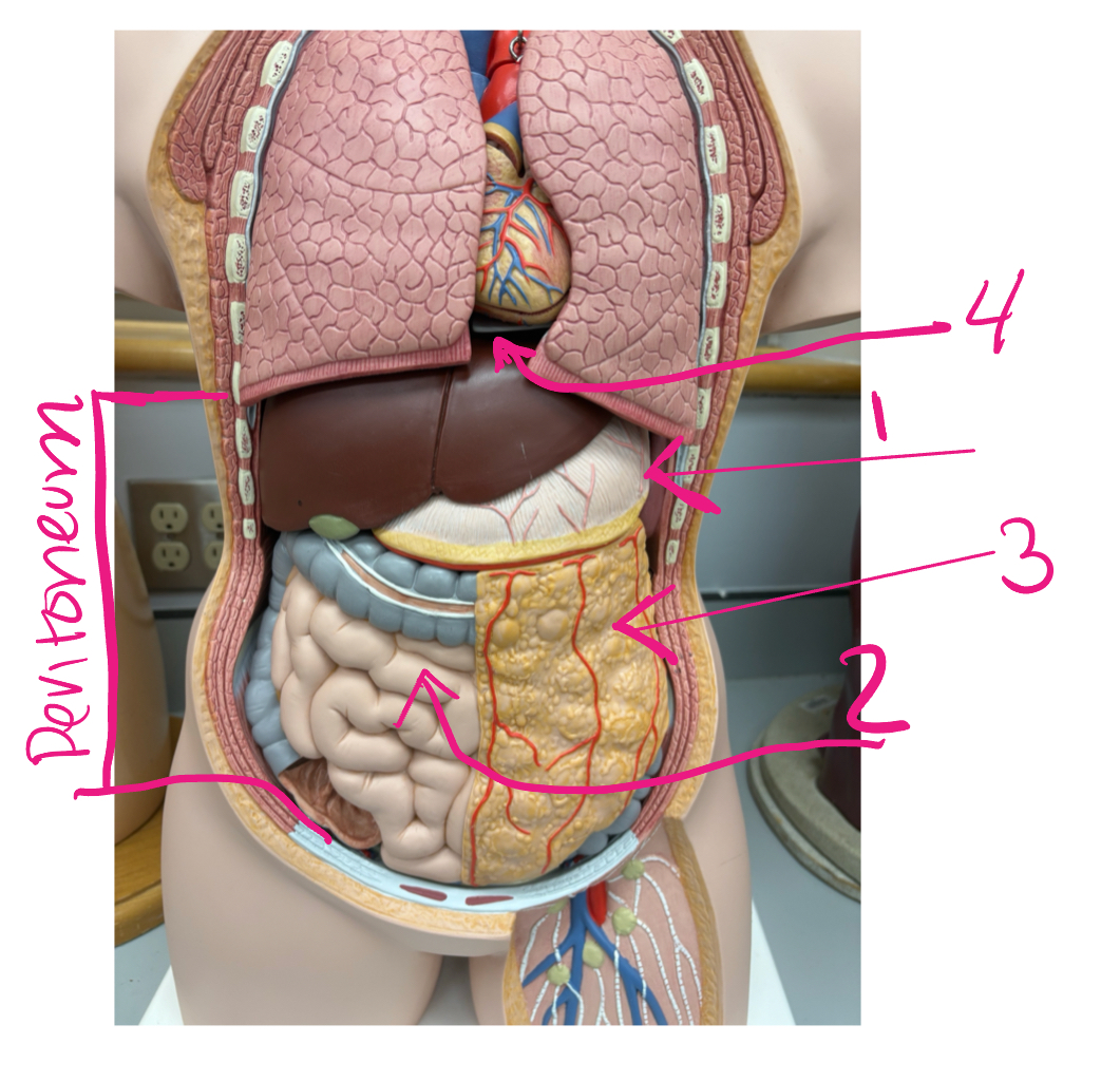 <p>1</p>